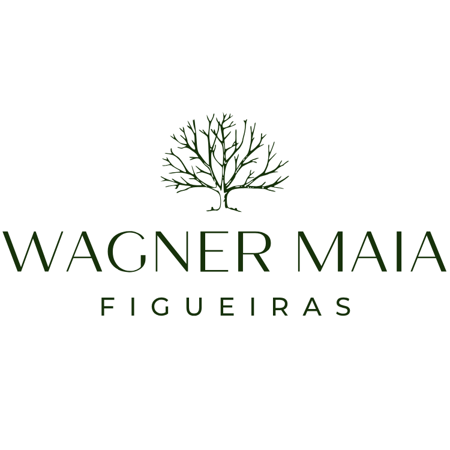 Logo de Fotógrafo de Casamento, Wagner Maia Equipe Figueiras, Sao Paulo